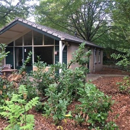 Vakantiebungalow De Schaapskooi 伊皮 外观 照片
