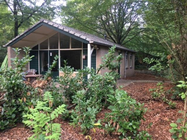 Vakantiebungalow De Schaapskooi 伊皮 外观 照片